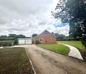 Driveway- click for photo gallery